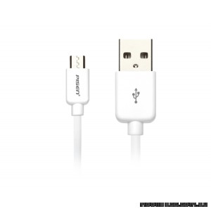 PISEN Micro USB Data Cable 3m - White